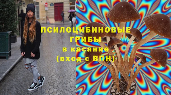 дурь Алзамай