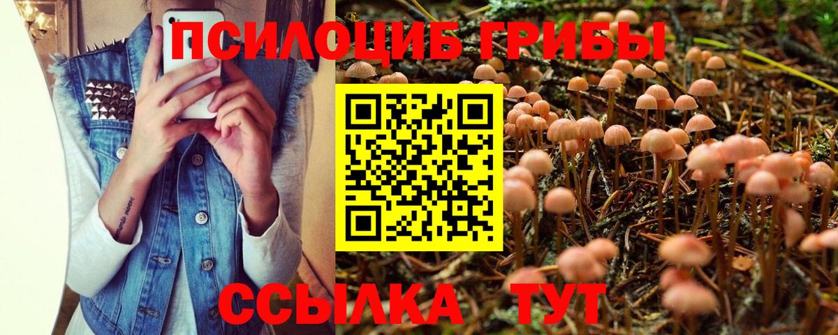 Галлюциногенные грибы Psilocybine cubensis Керчь