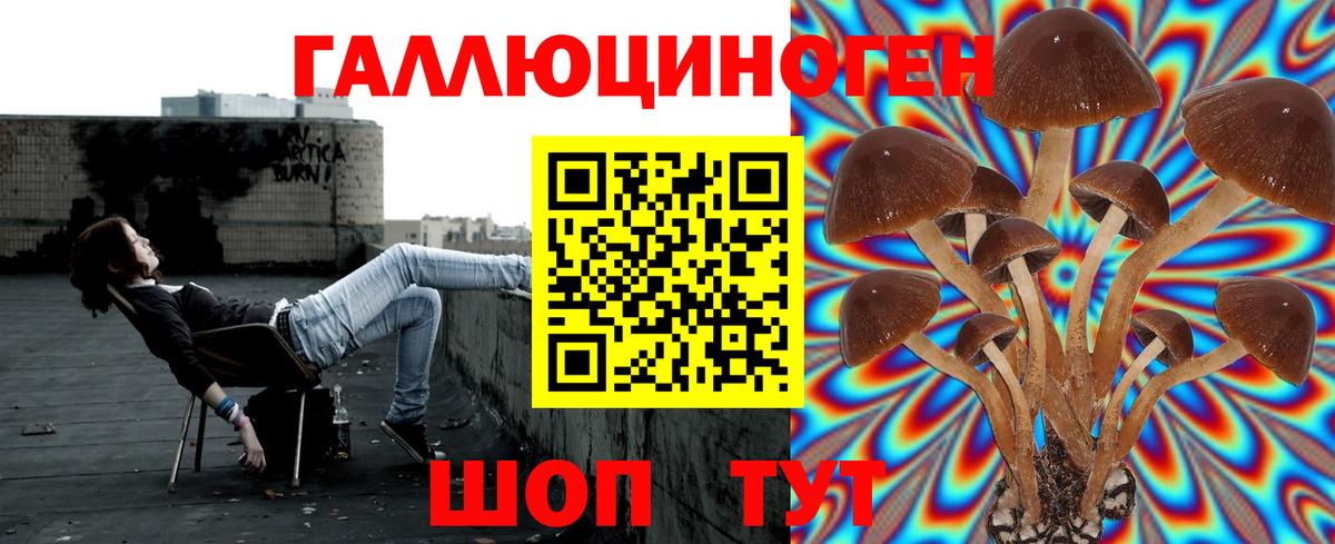 Керчь  Псилоцибиновые грибы прущие грибы  Вход с VPN  Галлюциногенные грибы прущие грибы 